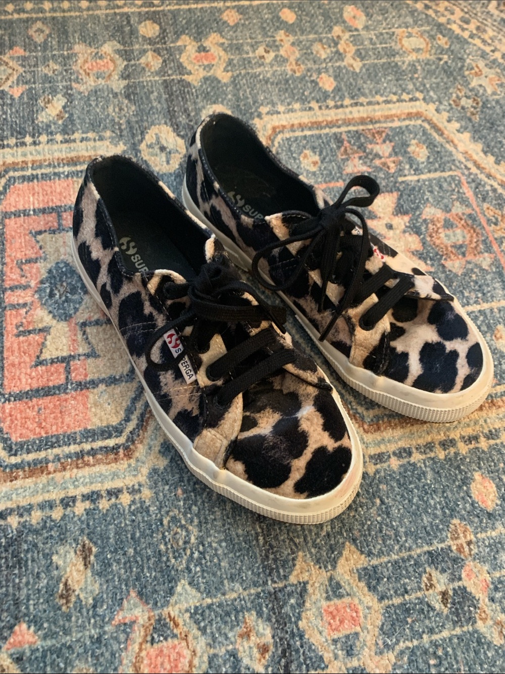 Superga Women’s Leopard Print Sneakers in Black and Cream